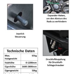 Radheberblatt Luft Detail Daten